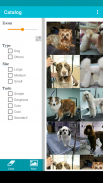 TapGroom Pet Grooming Salon screenshot 9