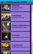 Entheogenic Guide screenshot 5