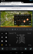 Chinese Keyboard Plugin screenshot 3