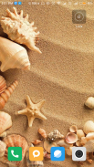 Seashell wallpaper HD screenshot 15