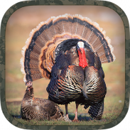 Turkey Hunting Calls screenshot 3