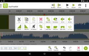 mp3TrueEdit touch Audio Editor screenshot 1