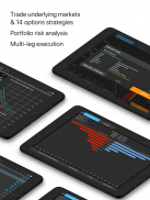 Sentry Trade: Real Options for screenshot 4