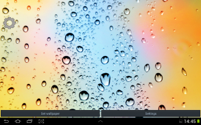 Rainy Fall Live Wallpaper screenshot 0