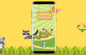 Catching Raccoon! screenshot 5