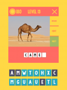 Picture Quiz- Learning English screenshot 10