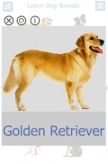 Dog Breeds | Golden Retriever | Rottweiler screenshot 9