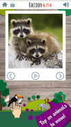 Kids Zoo Game: Educational games for toddlers screenshot 4