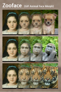 Zooface - GIF Animal Morph screenshot 1