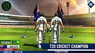 Superliga Mundial de Críquete screenshot 3