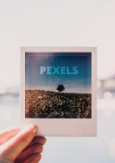 Pexels: HD+ videos & photos screenshot 7