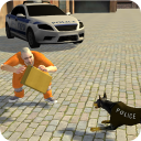 Crime Chasing Police Dog