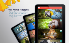 Animales: Tonos de llamada screenshot 6