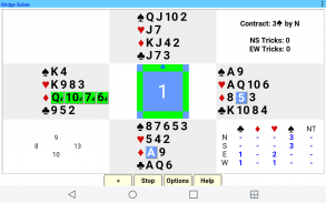Bridge Solver screenshot 1