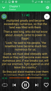 NIV Audio Bible   English Holy Bible  (Free) screenshot 0