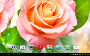 Rose Live Wallpaper screenshot 3