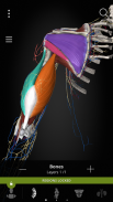 Anatomyka - 3D Anatomy Atlas screenshot 2