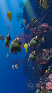 Ocean Aquarium screenshot 15