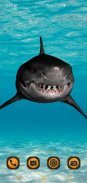 Great White Shark Live Wallpaer screenshot 3