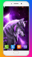 Wolf Wallpaper HD screenshot 0