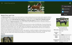 Horse breeds - Photos screenshot 3