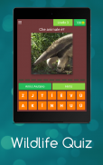 Wildlife Quiz screenshot 15