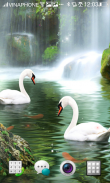 Swan Live Wallpaper HD 4K Cool screenshot 5