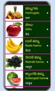 Learn Kannada From Hindi Pro screenshot 8