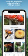 Mushroom Identify - Automatic picture recognition screenshot 0