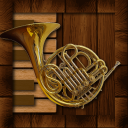 Professional French Horn Icon