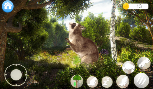 Talking Raccoon screenshot 2