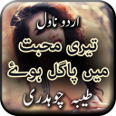 Teri Mohabbat Mein Pagal Huy by Tayyba Chaudhary Icon