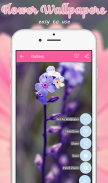 Flower Wallpapers and Backgrounds screenshot 5