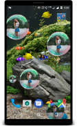 Bubble photo live wallpaper with aquarium screenshot 3