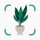 Plantify: Plante Identifiant