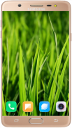 Grass Wallpaper Best HD screenshot 12