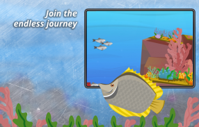 Swarms Of Fish screenshot 2