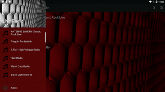 Online Metal And Rock Radio screenshot 2