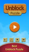 Unblock Puzzle screenshot 5