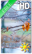 Autumn Raindrops Live HD screenshot 0