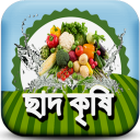 ছাদ কৃষি ~ chad krishi - ছাদে চাষাবাদ পদ্ধতি