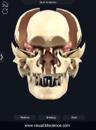 Skull Anatomy Pro. screenshot 10