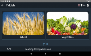 Yiddish Language Tests screenshot 21