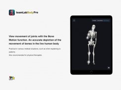 teamLab Body Pro 3d anatomy screenshot 2