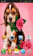 Puppy Rose Live Wallpaper screenshot 2