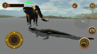 Crocodile Chase Simulator screenshot 5
