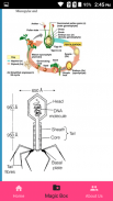 Mnemonic(Physics, Chem, Biology, Botany, Zoo, Med) screenshot 1