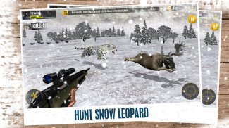 Animal Hunting Games Gun Games screenshot 10