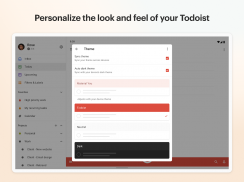 Todoist: to-do lijst & planner screenshot 13
