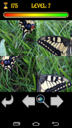 Puzzle Butterfly screenshot 0